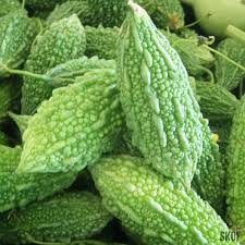 Green Bitter Guard