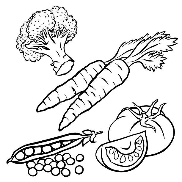 Vegetable